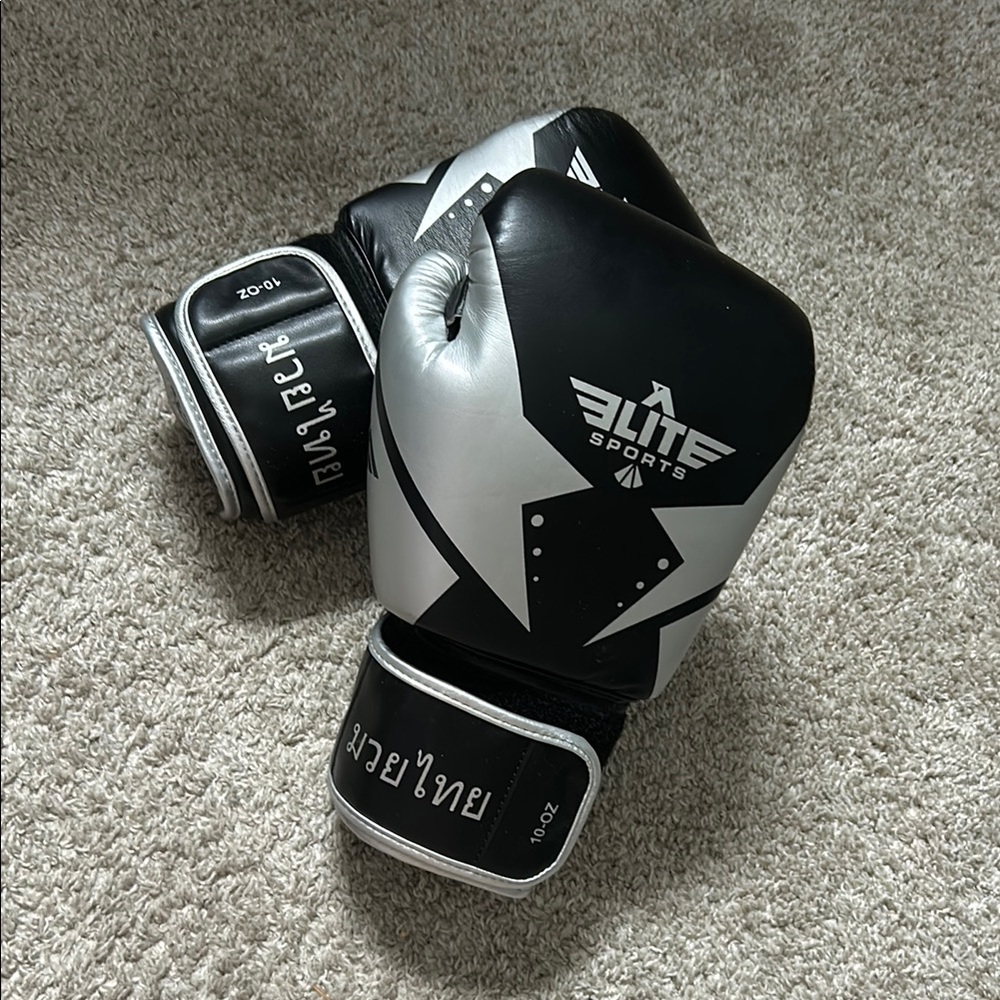 Elite Sports Black and Silver Boxing Gloves
